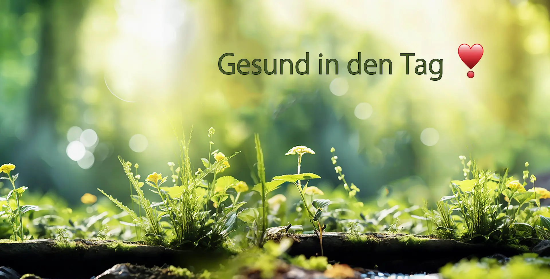Gesund in den Tag – frische grüne Pflanzen im Sonnenlicht als Symbol für natürliche Gesundheit und Vitalität